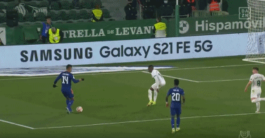 三鹰哥冬季游泳